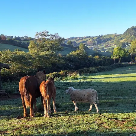 Loft Estacion Quintana * Gijón
