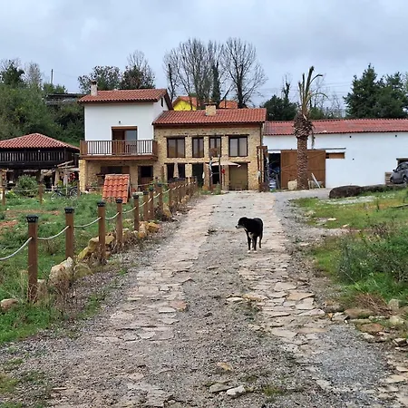 Daire Loft Estacion Quintana *