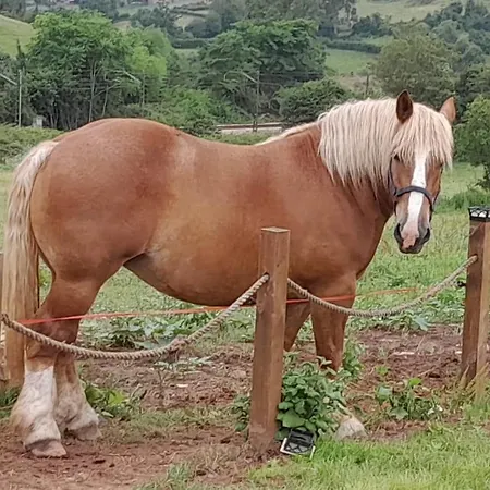 Loft Estacion Quintana Apartmán Gijón
