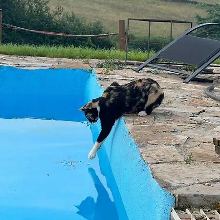 Loft Estacion Quintana Daire *