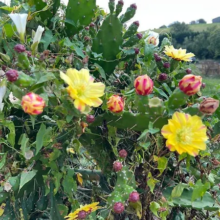 Loft Estacion Quintana Apartment Gijon