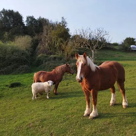 Loft Estacion Quintana Gijon